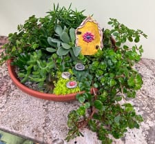 Whimsical plush succulent bowls with handmade pottery fair door and stepping stones